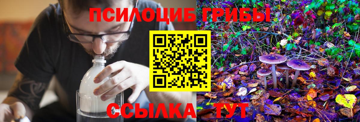 Пыть-Ях  Галлюциногенные грибы мухоморы  Галлюциногенные грибы прущие грибы  что такое наркотик  Вход с VPN 